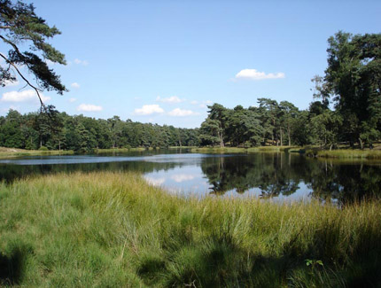 Foto: Das Schwarze Wasser